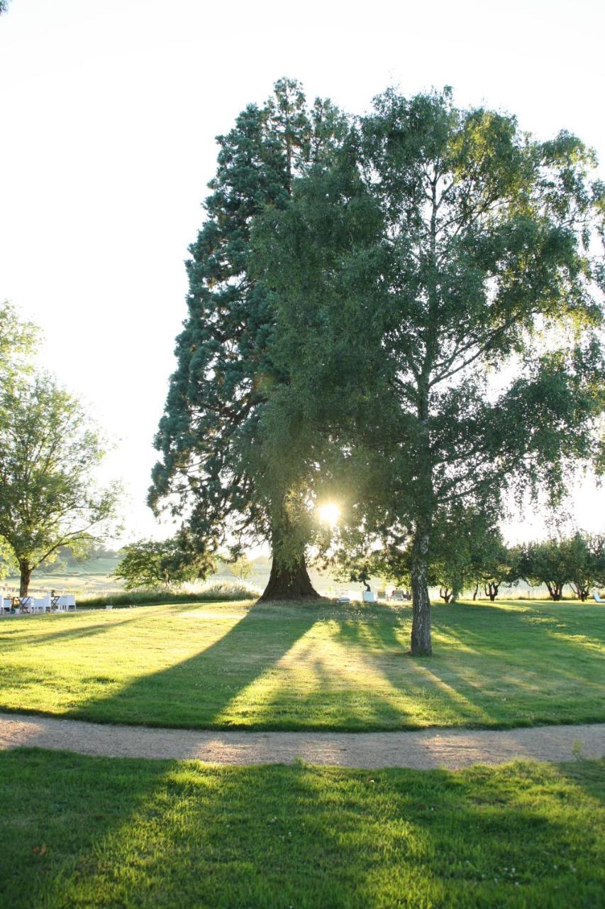 Domaine De Savigny Bed & Breakfast Saint-Saulge ภายนอก รูปภาพ